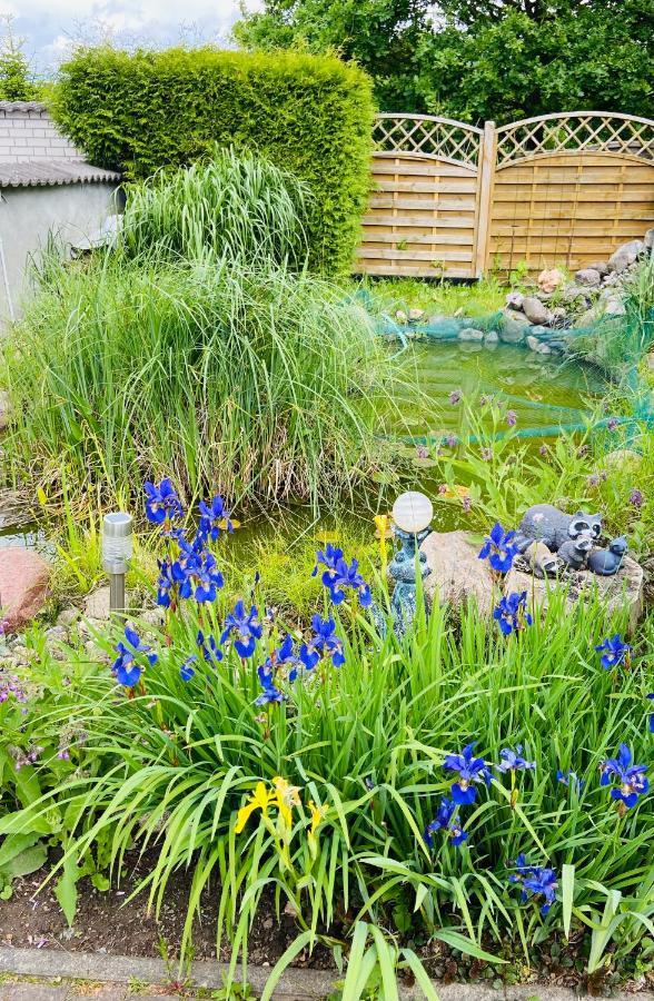 Ferienhaus Bei Engel Ahrensbok Ngoại thất bức ảnh
